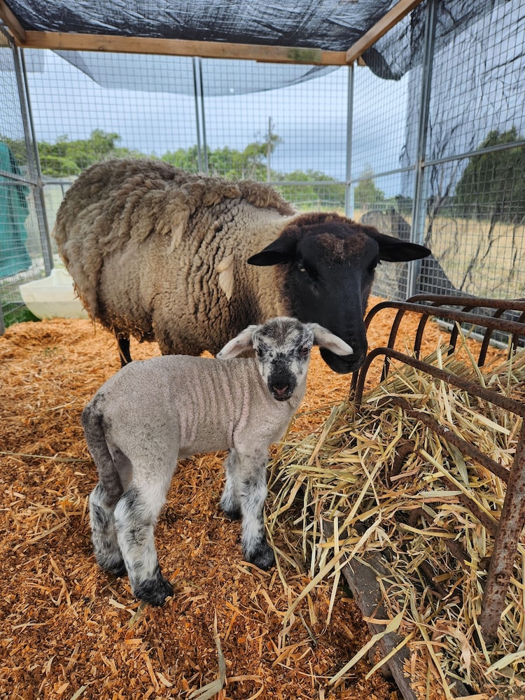 other