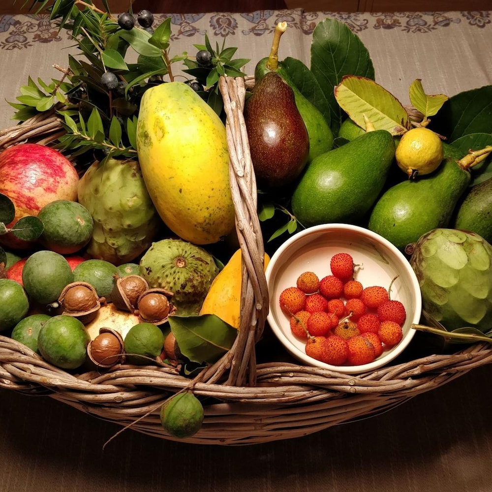 Giardino Tropicale Eco-friendly Accommodations