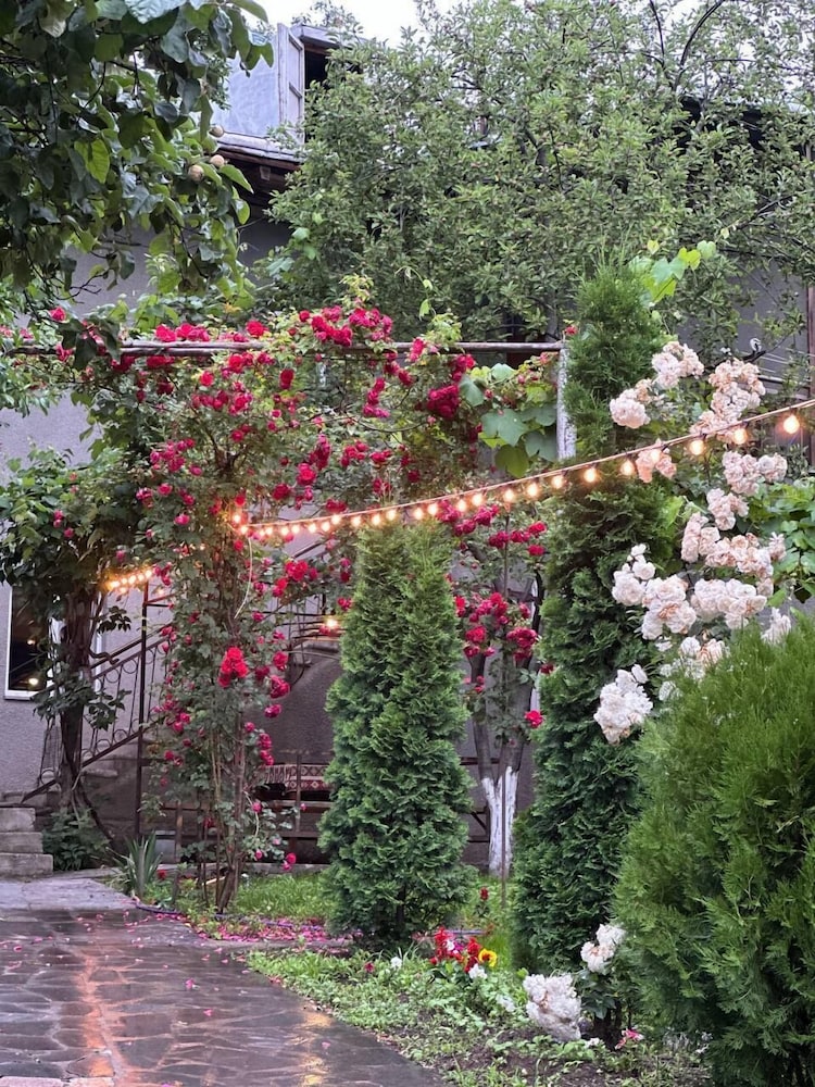 Narek B&B