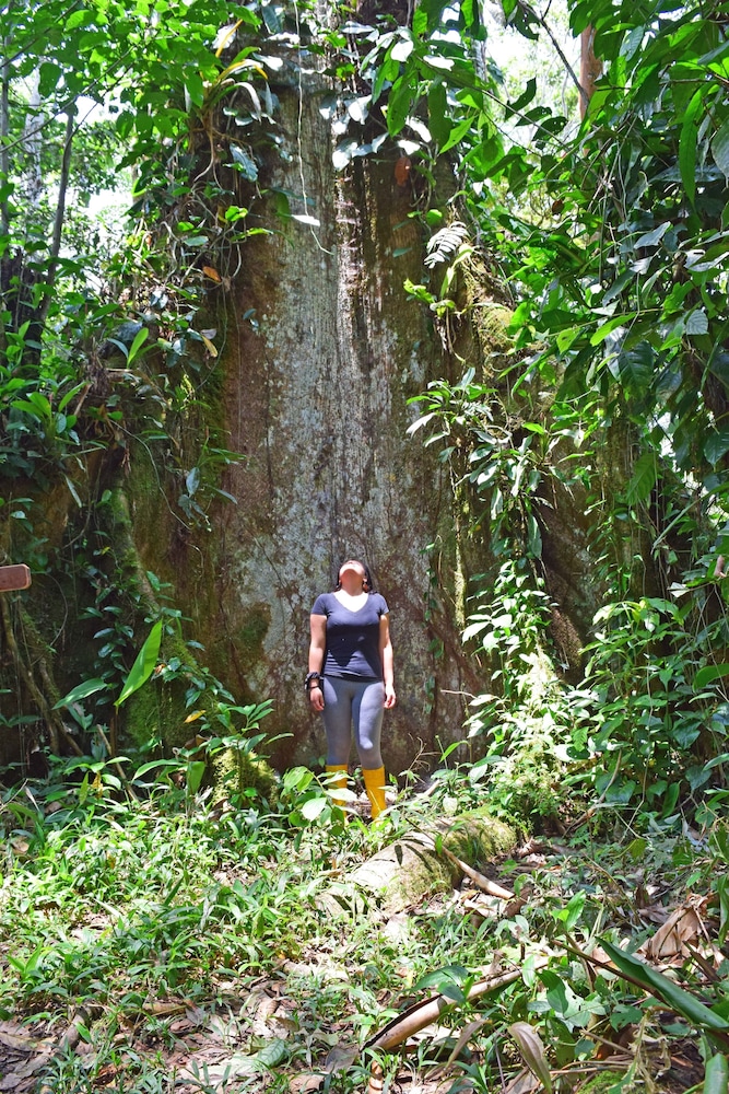 Suchipakari Jungle Lodge