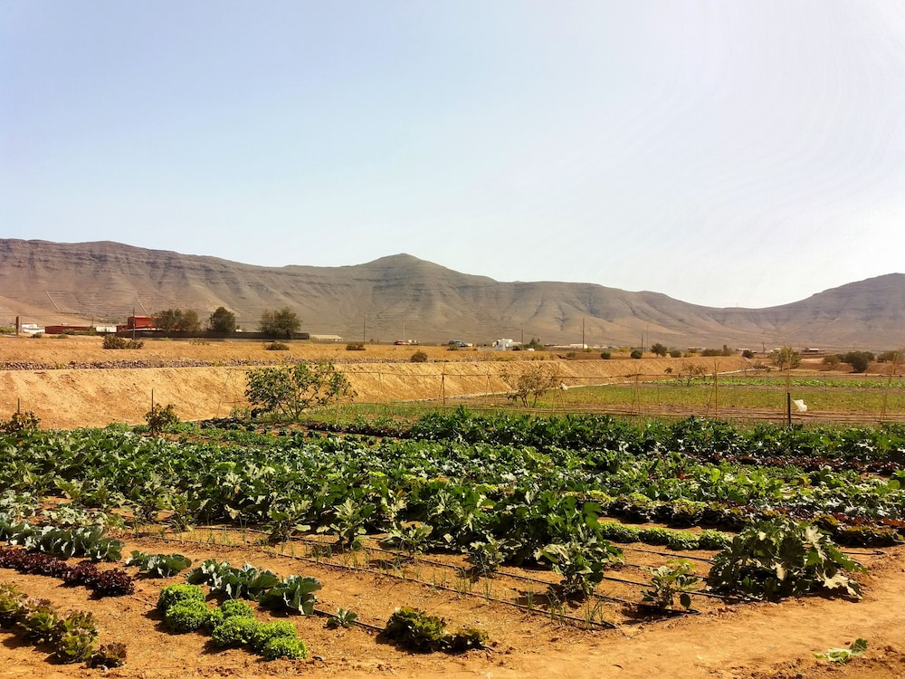 Rural Rugama