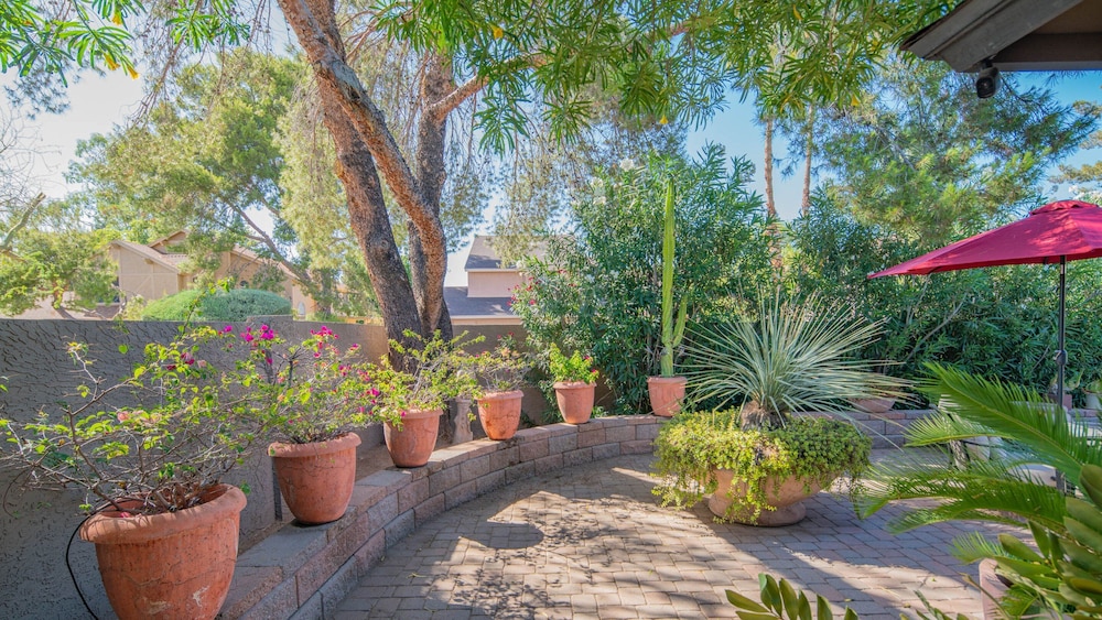 Scottsdale Gem W/pool in Private and Serene Yard!