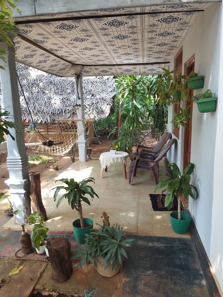 Elephant Safari Lodge