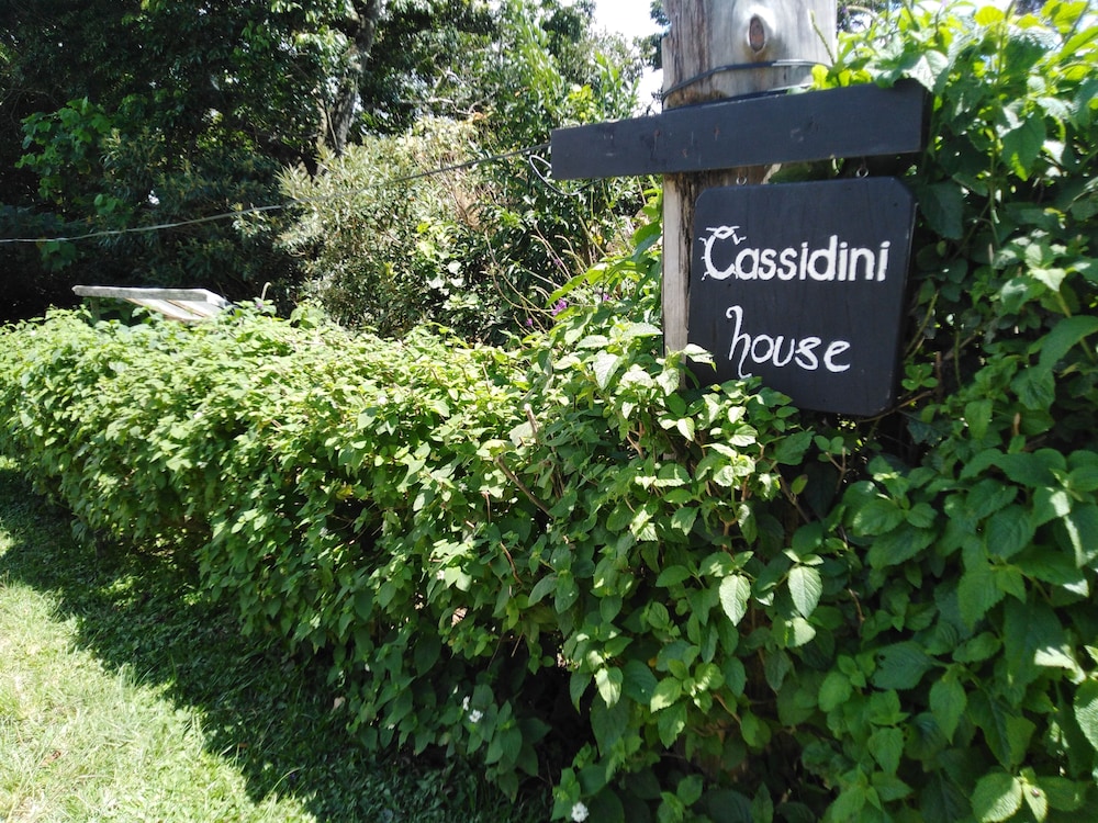 Cassidini House
