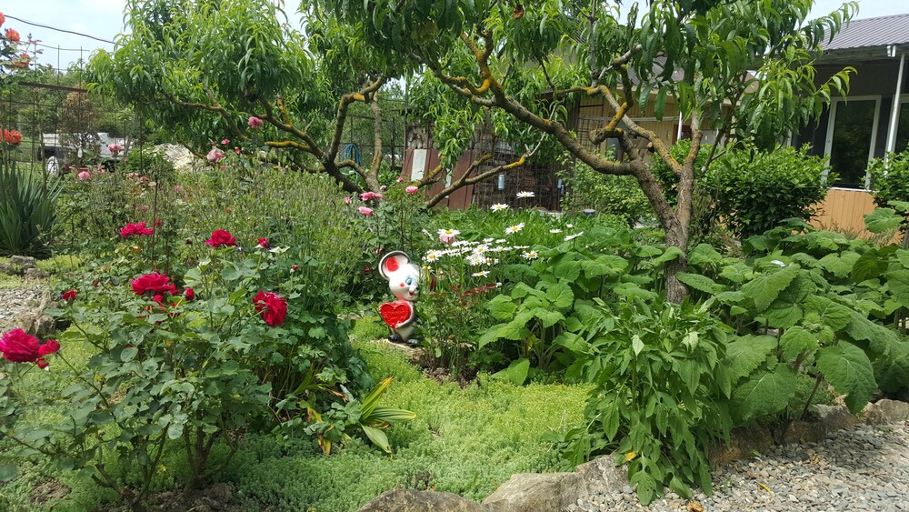 Flowering garden