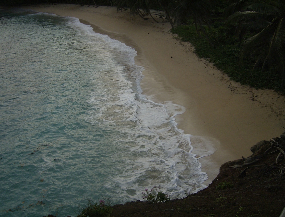 Photo 45