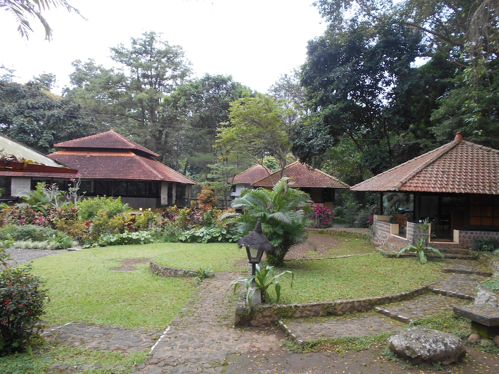 Photo 43