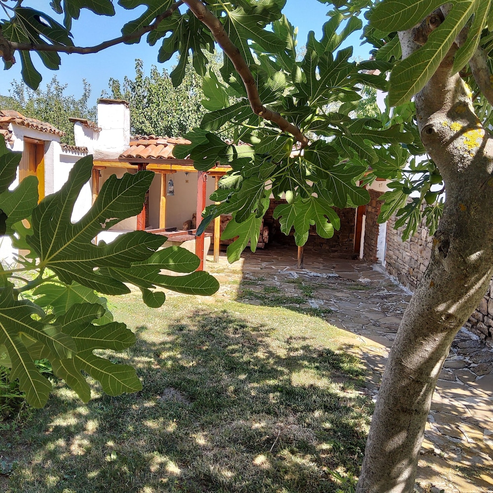 House Sleeps 6-garden-freeparking-bbq-patio-petsok