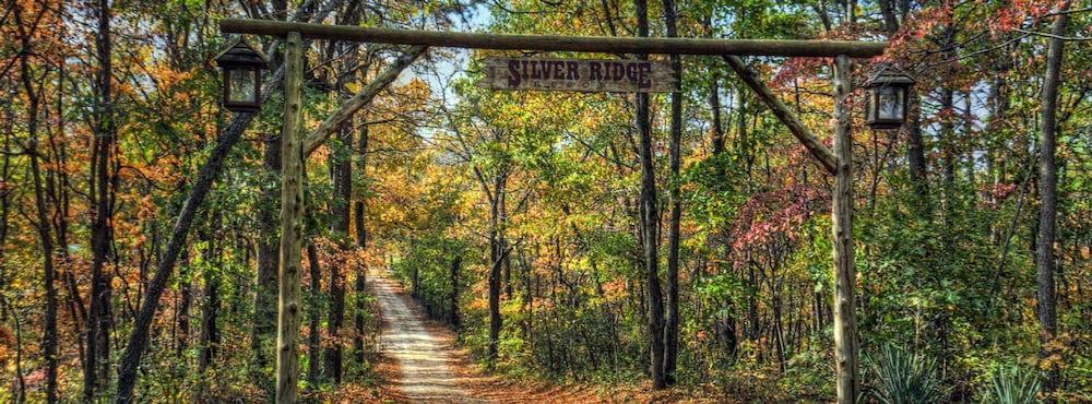 Silver Ridge