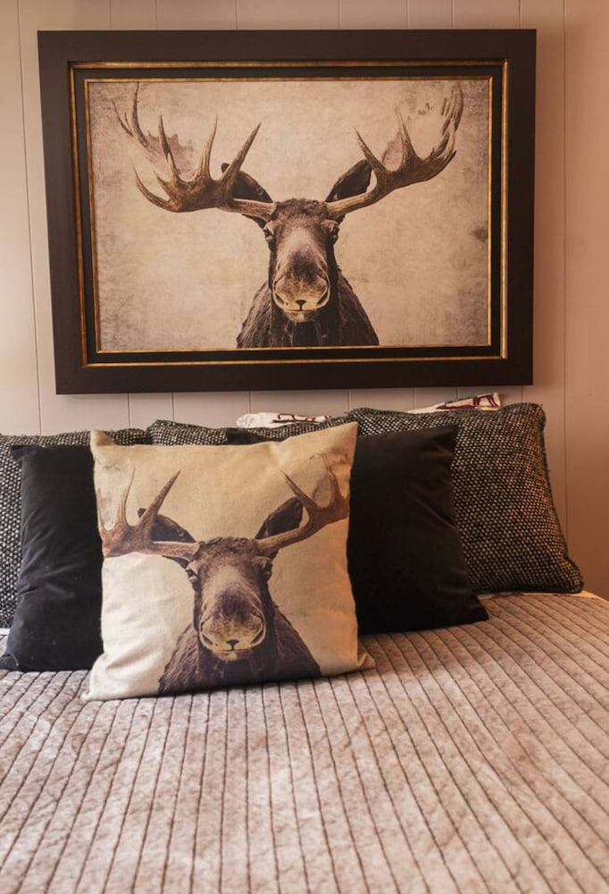 Moose Room Rustic Colorado Lodge Escape