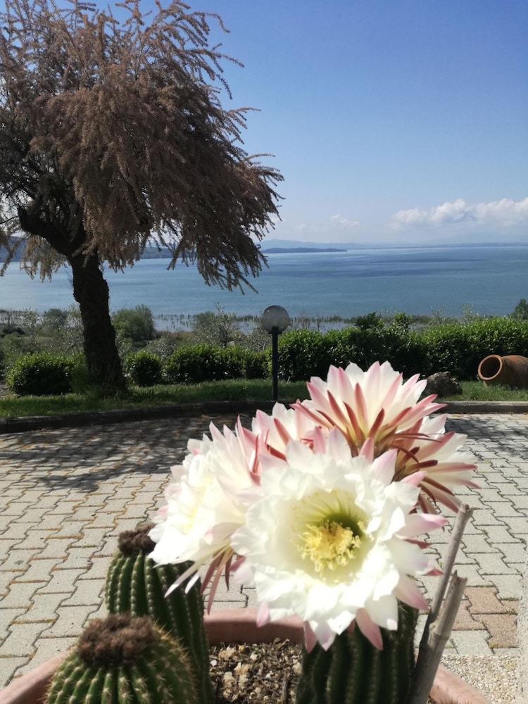 B&B Torre del Lago Trasimeno