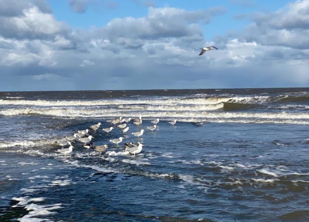 Chalet in Sint Maartenszee Near Sandy Beach