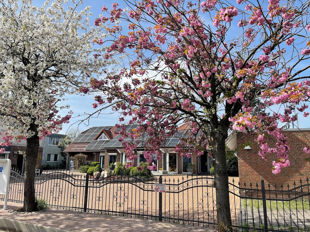Modern House Gehrden contactless garden