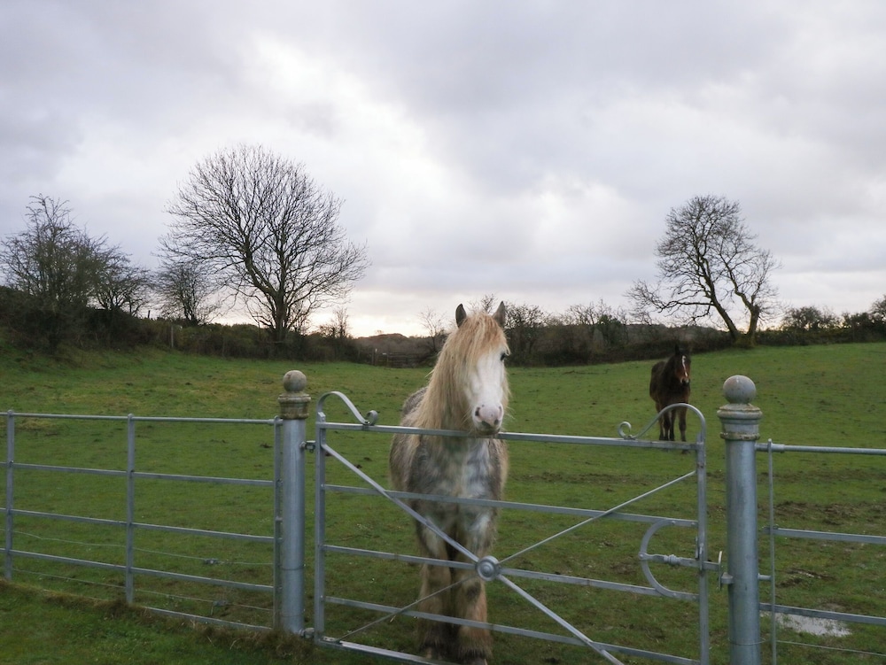 Ynys Uchaf