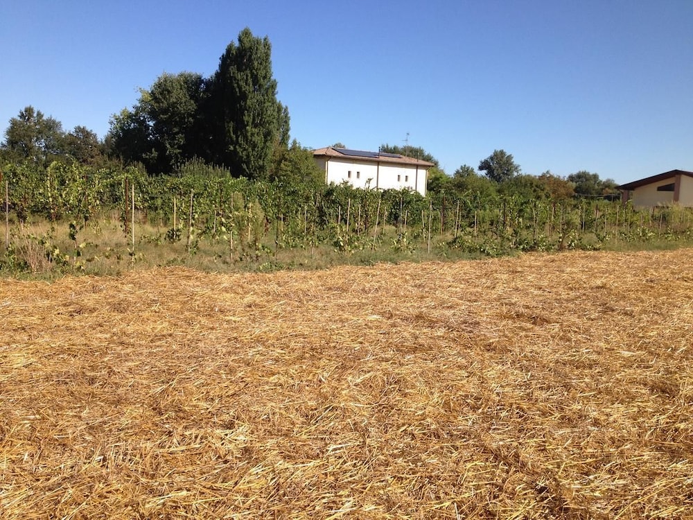 Agriturismo Arcadia