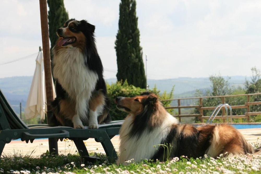 Tenuta il Torrione