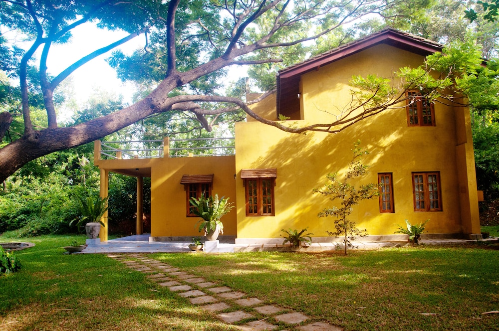 Raintree