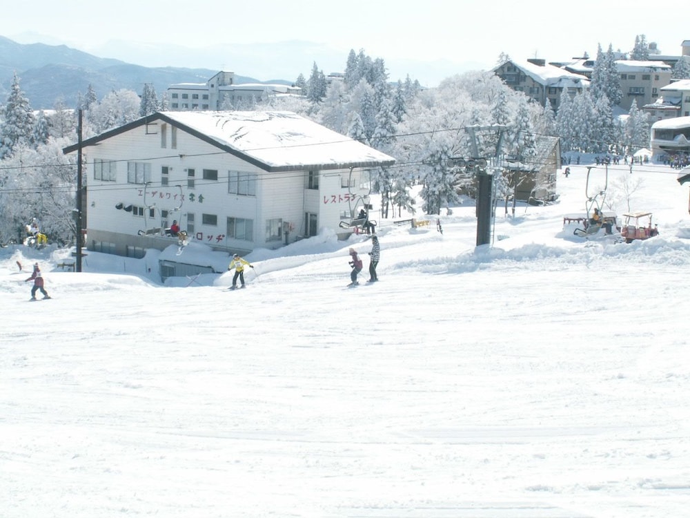 Edelweiss Akakura