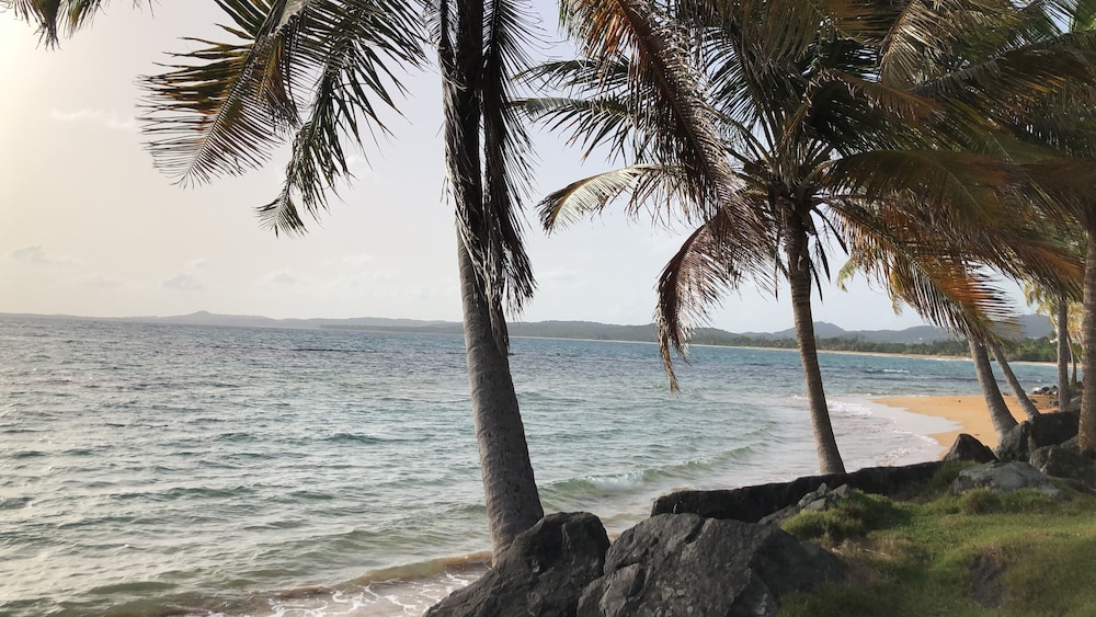Ocean View Gorgeous 1 Bedroom Apt