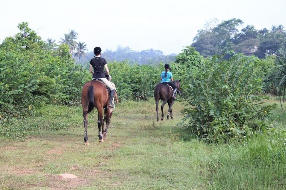 Photo 24