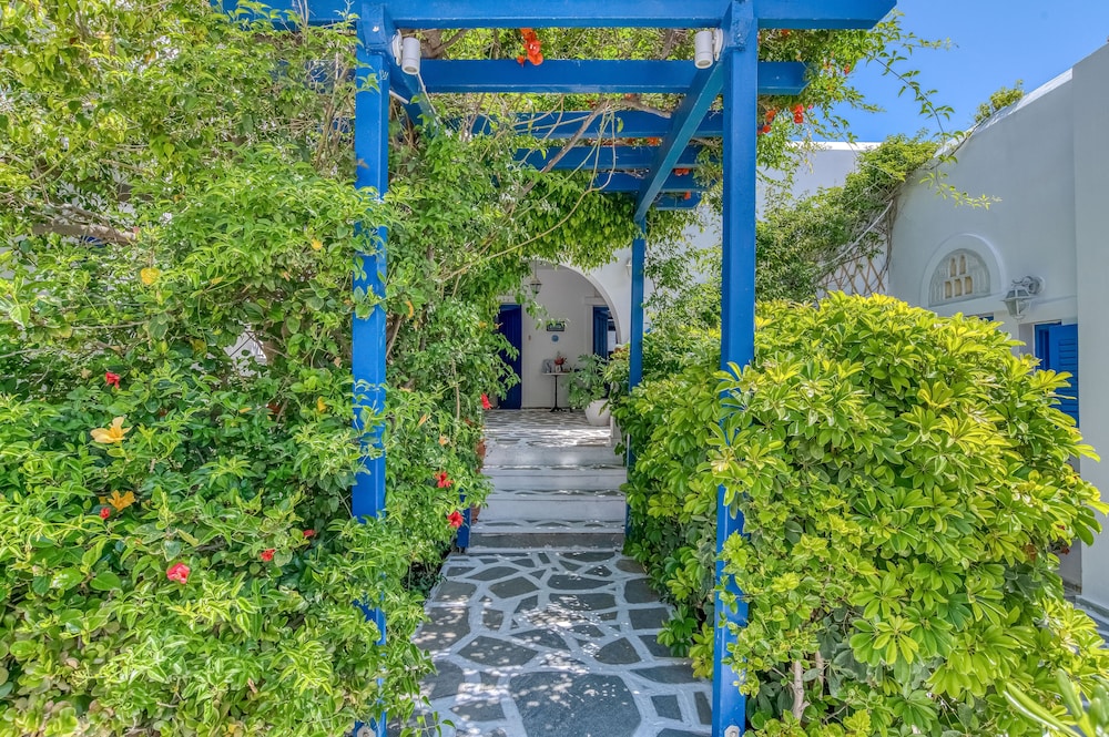 Alpha Studios