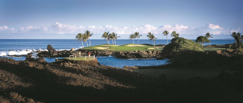 Fairmont Orchid - Property Image 95