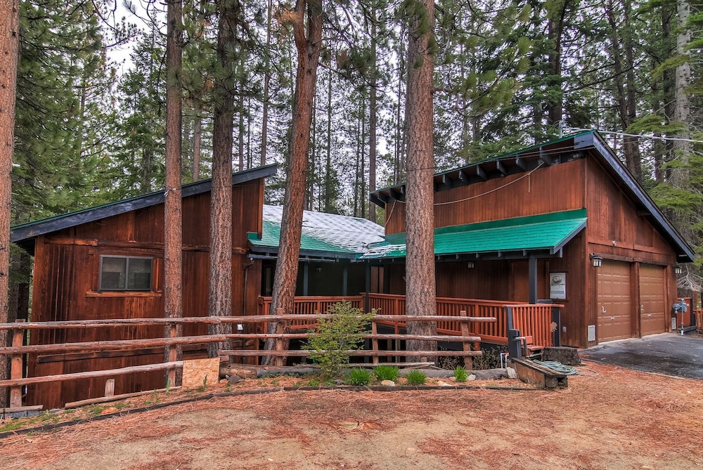 Bear Haus - Fur Babies Welcome! view 3