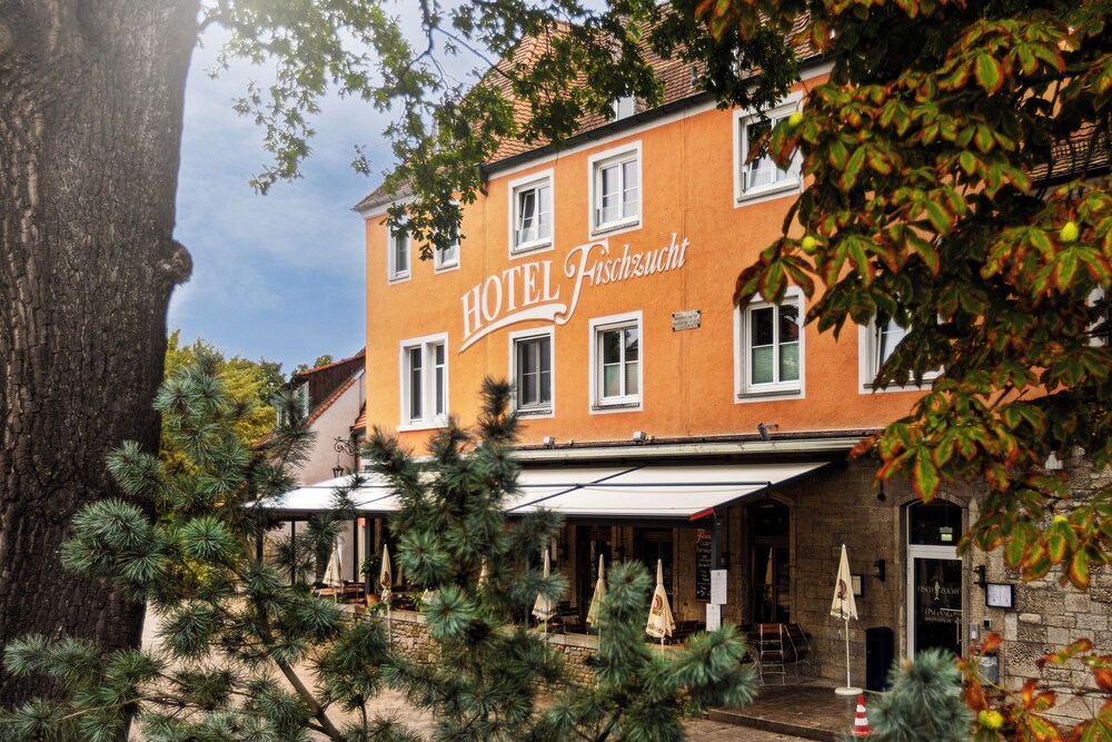 Fewo Fischzucht mit Sauna und Terrasse - Property Image 13
