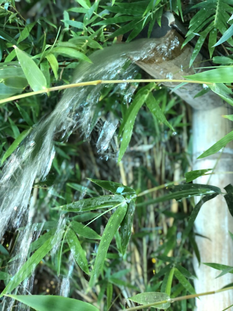 ArcoIris