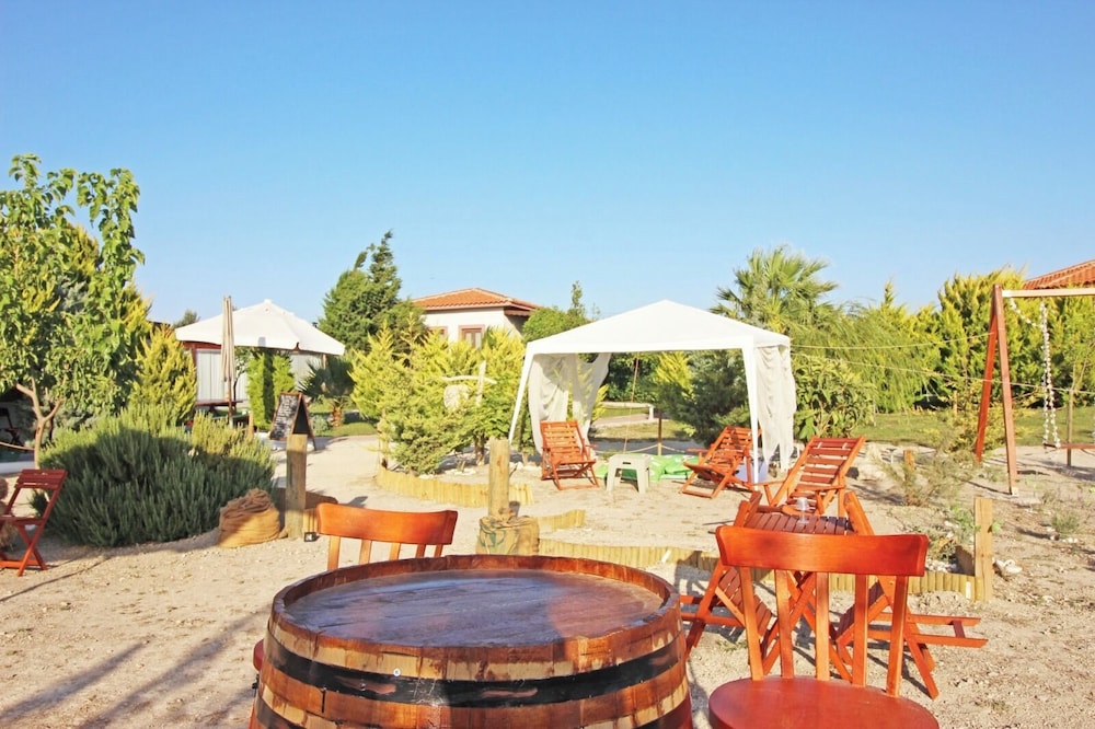 Karina Vineyard Evi - Image 32