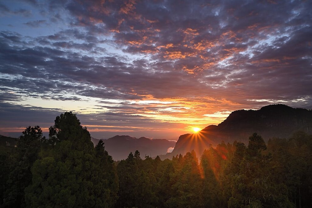 Alishan Hotel 80
