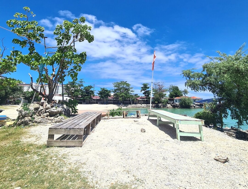 Photo 41