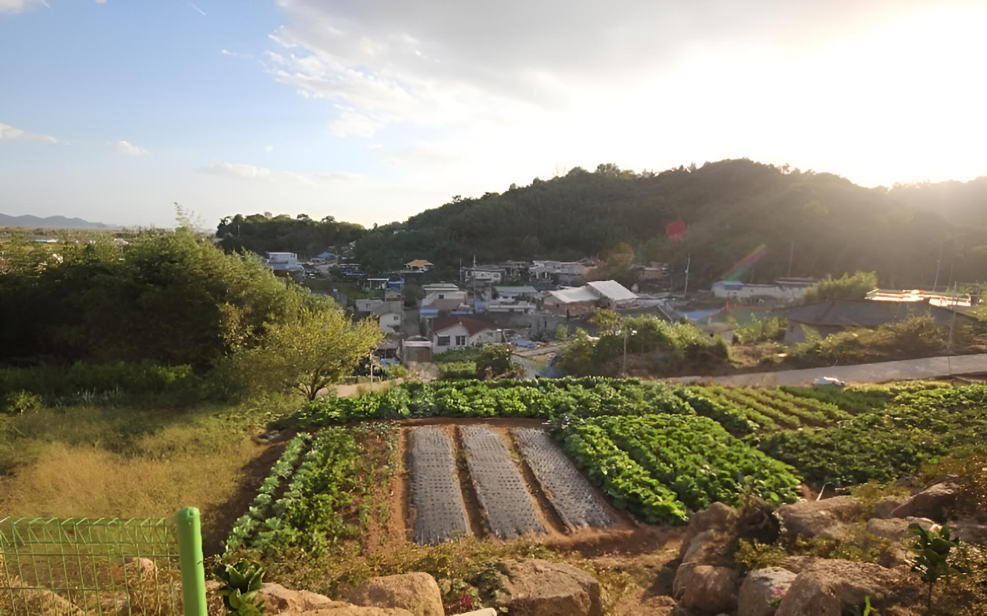 Suncheon Bay Baramuieondeok Pension view 4
