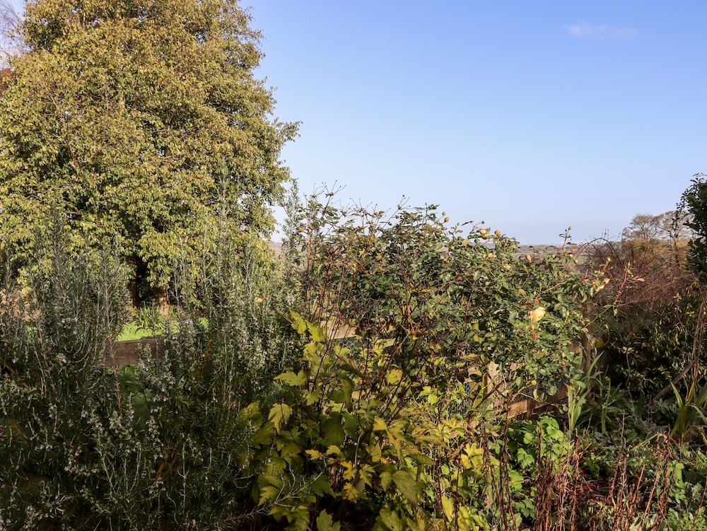 Tillingham View