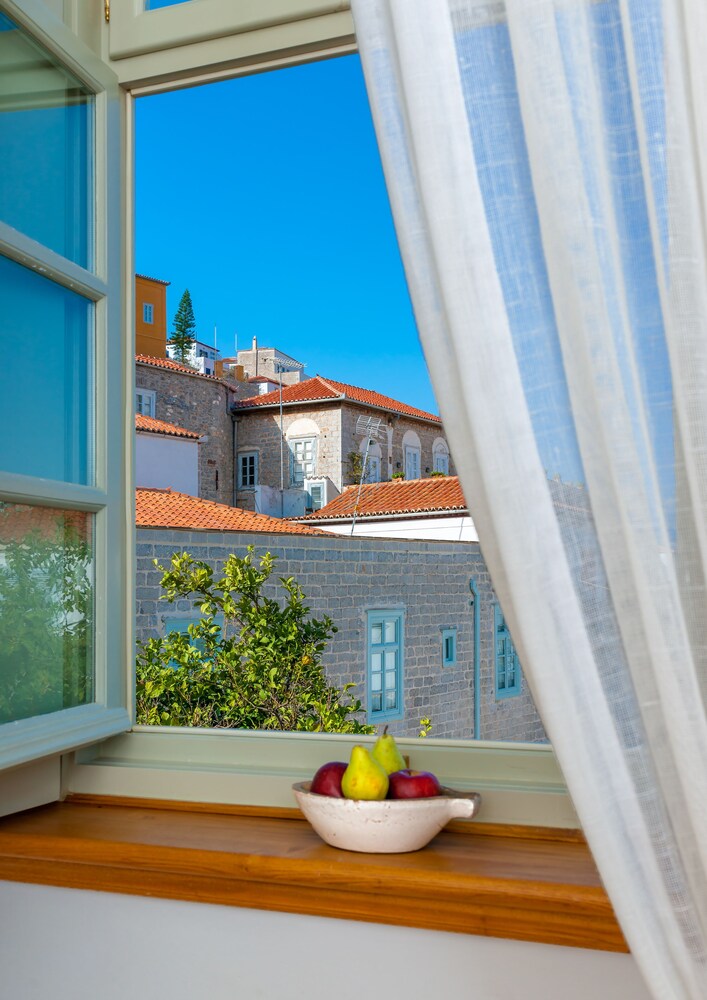 Cotommatae Hydra 1810 photo 3