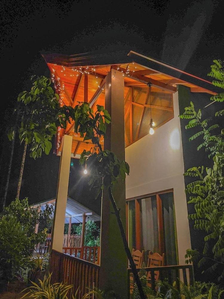 Rain Forest Vibe Sinharaja
