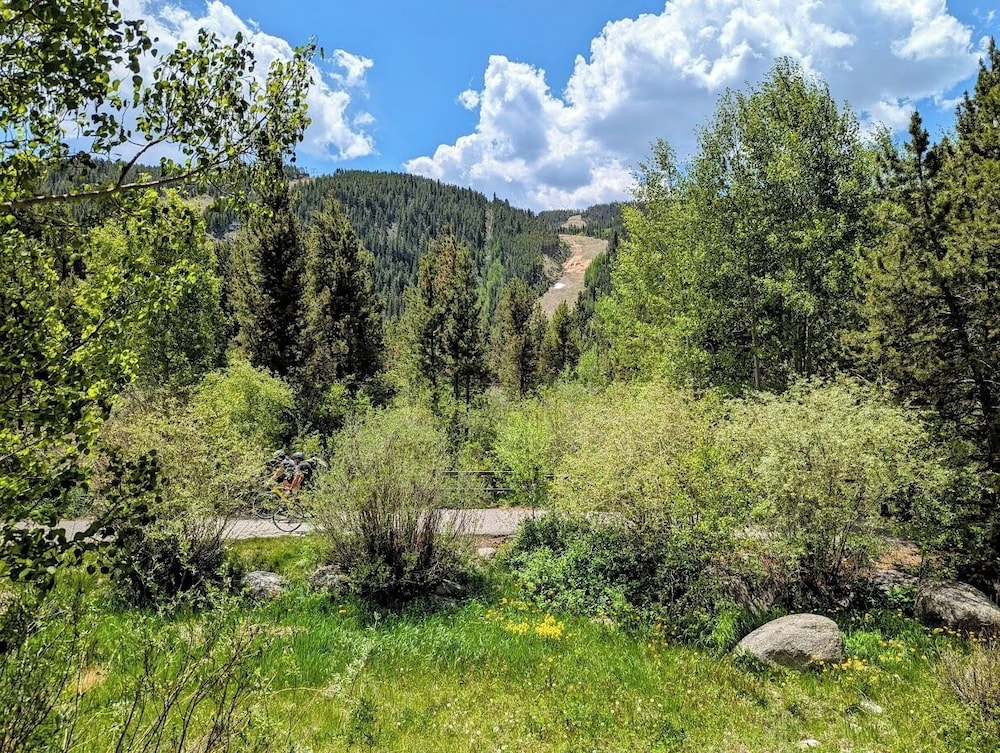 Ski Run 503