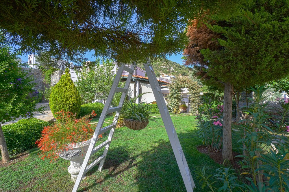 Villa Olivia