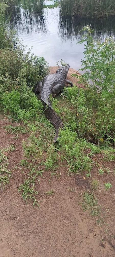 Wild Wetlands Lodge