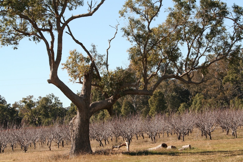 The Farmhouse at Blue Wren Wines