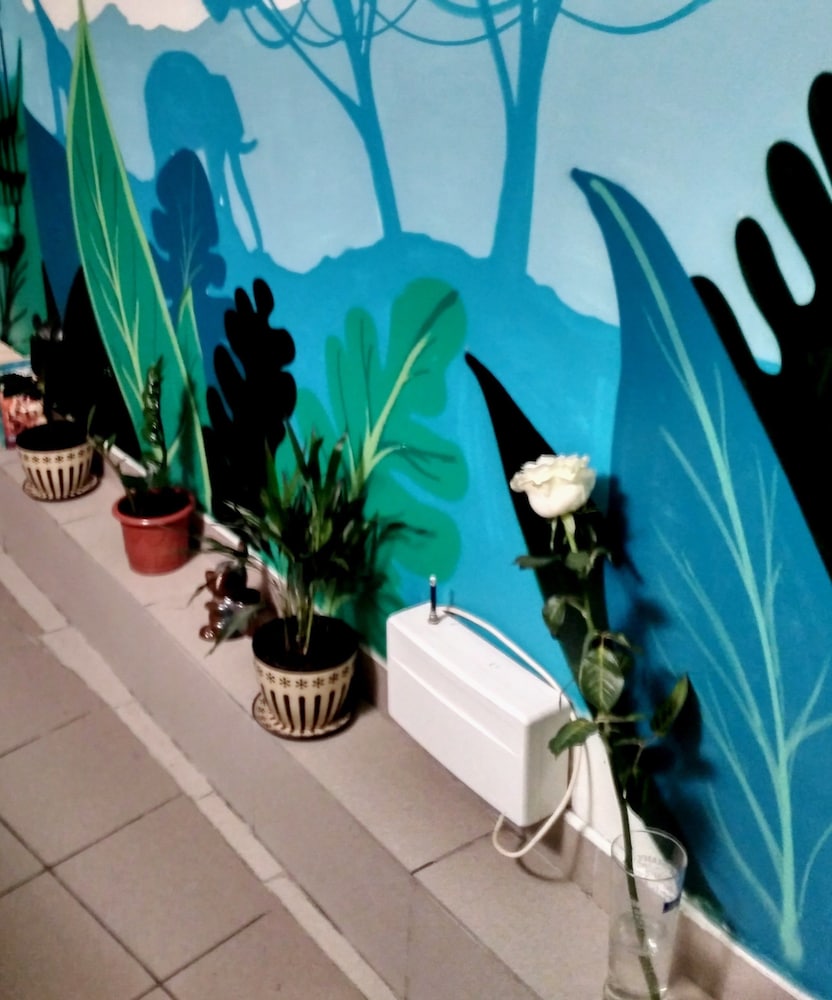 JUNGLE - Hostel