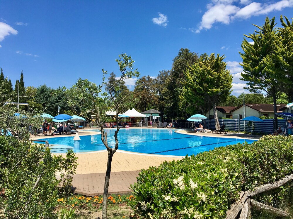 Room in Bungalow - Greenchalets Bungalow Tuscany Viareggio view 4