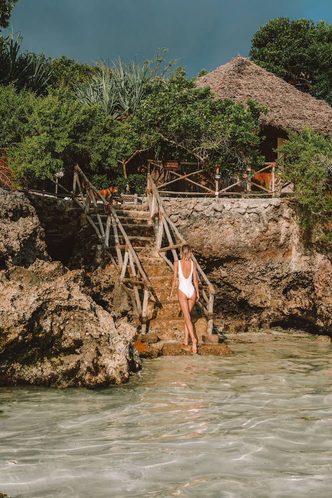 The Island - Pongwe Lodge - Adults Only