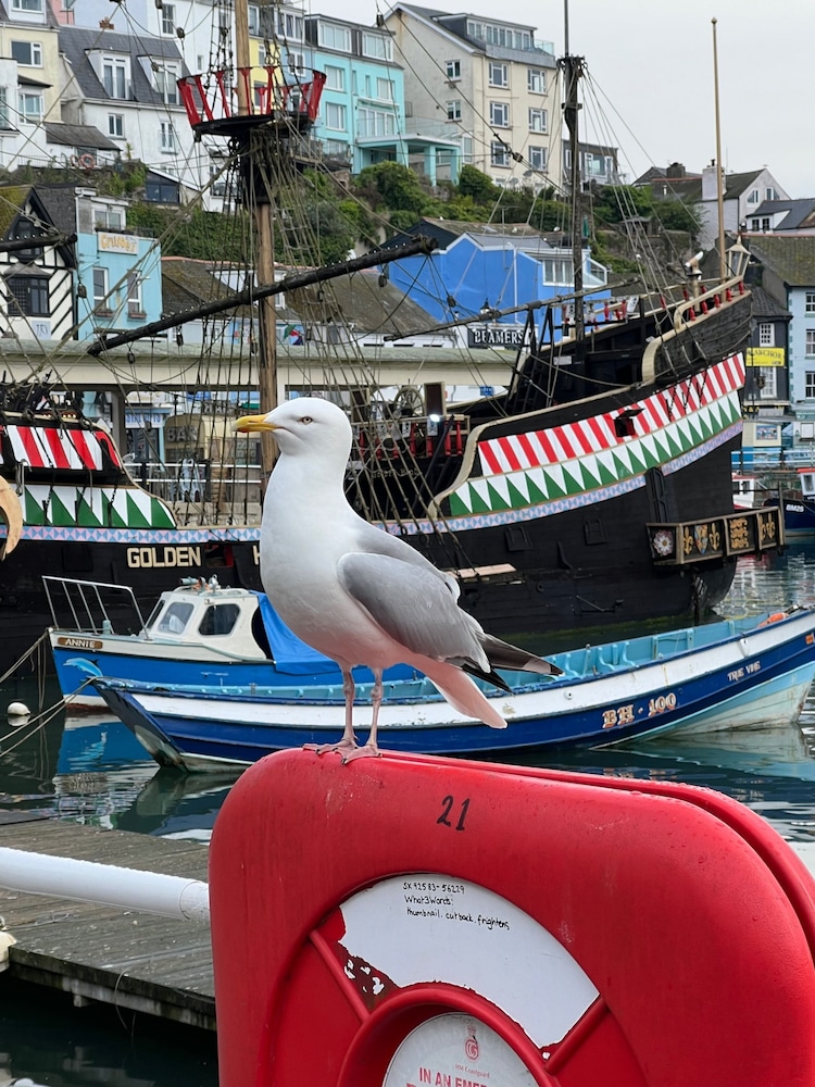 Dog Friendly Brixham Cottage, 3 Minutes to Harbour