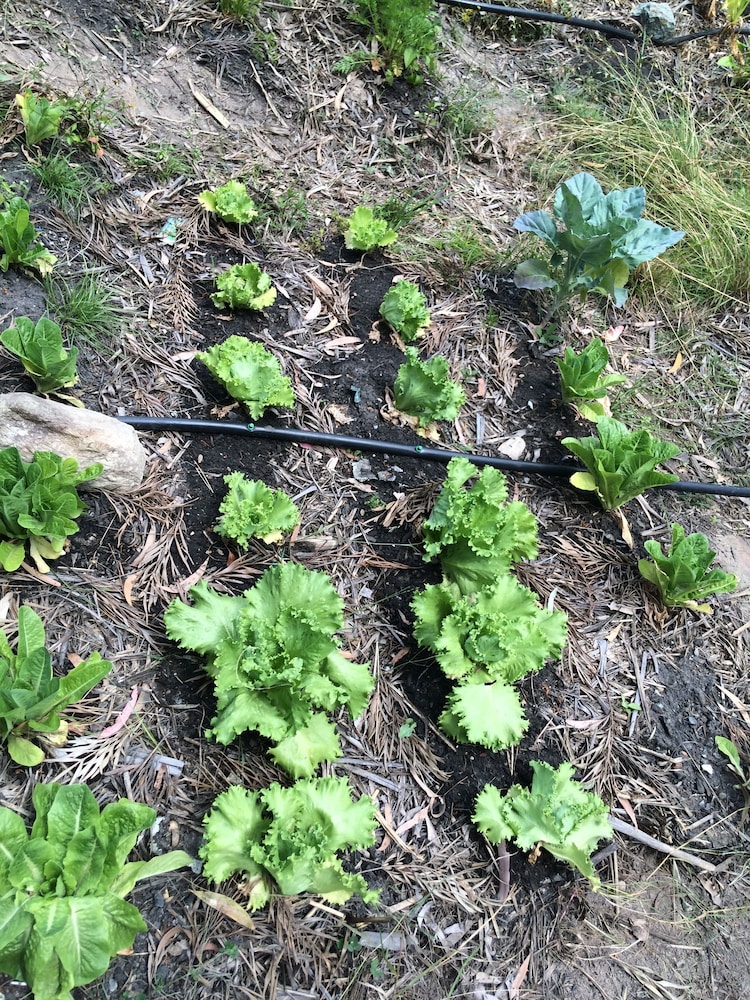 Pearl of Contentment Retreat - Property Image 13