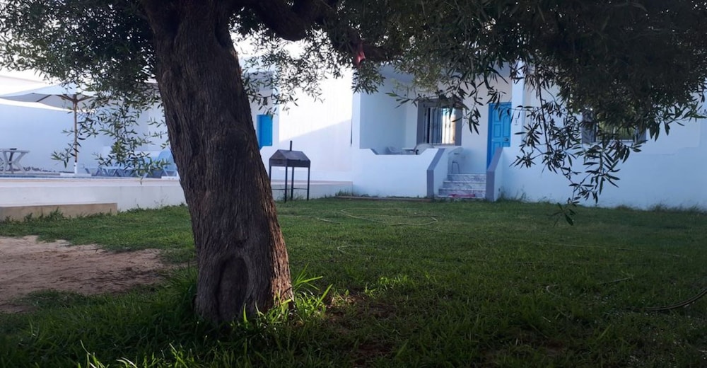 Photo 43