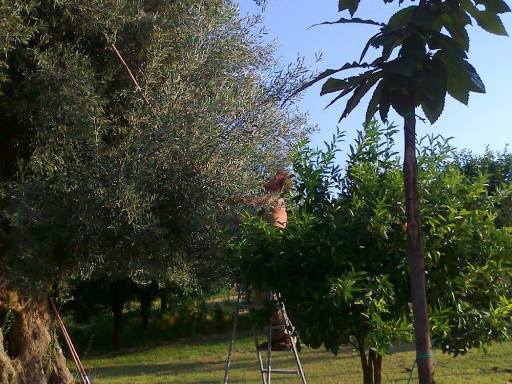 Photo 7