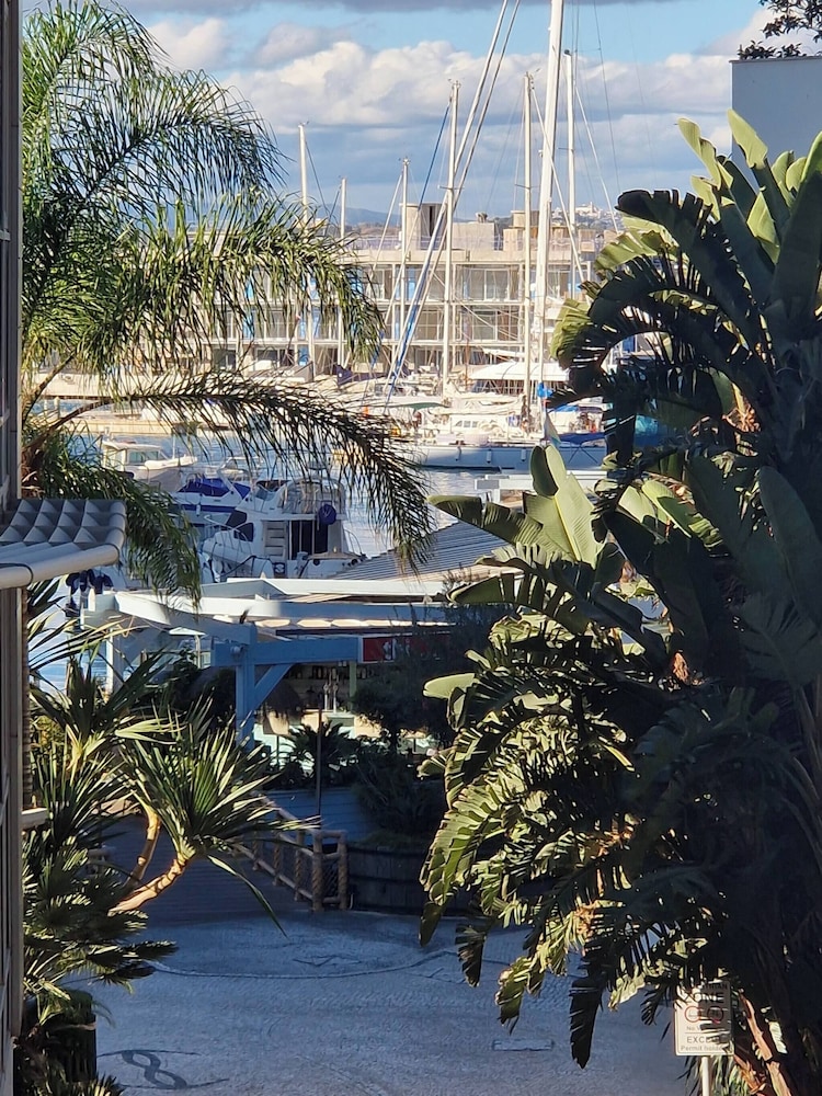 One Bedroom Ocean Village Apt