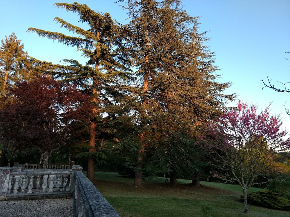 Photo 25