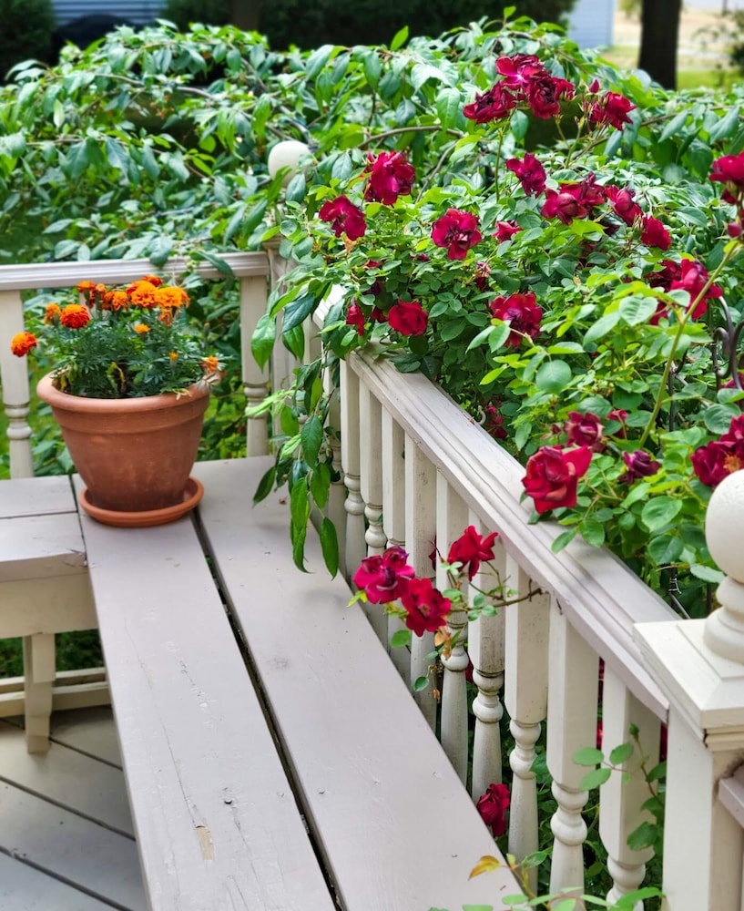 The Lamplighter Bed & Breakfast of Ludington